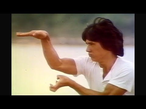 『蛇拳』 TV日本語吹き替え版　　ジャッキー・チェン