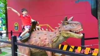恐竜エリア 恐竜に乗ったよ！ おでかけ こうくんねみちゃん Dinosaur amusement park