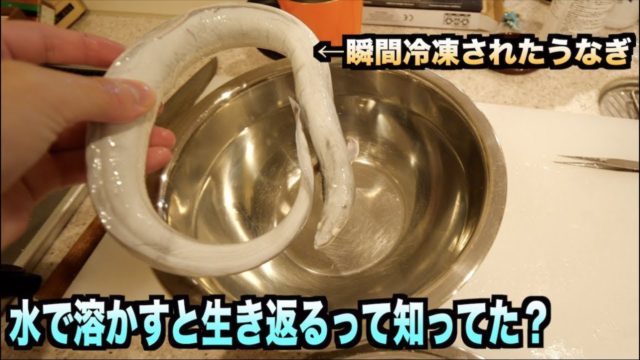 【都市伝説】冷凍されたウナギを水に入れると生き返るって知ってた？