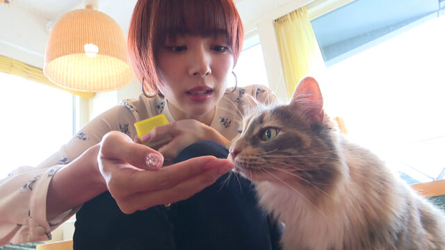 Secret trip 岡田紗佳
